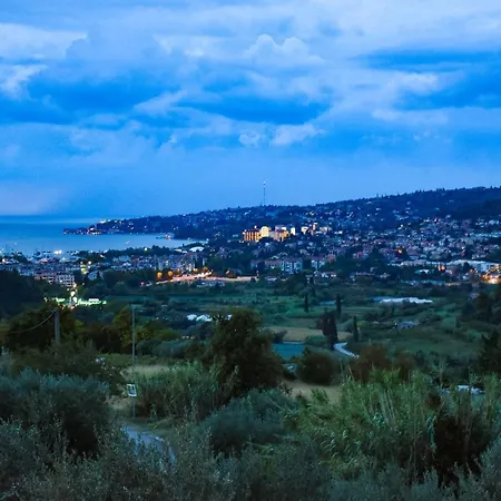 Apartma Med Oljkami - Apartmán *