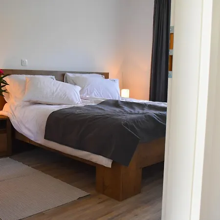 Apartma Med Oljkami - アパート *