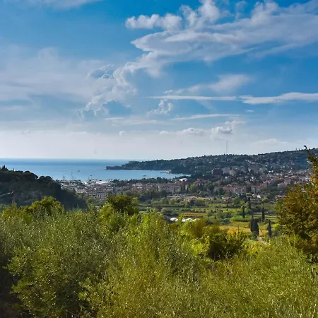 Apartma Med Oljkami - Portorož