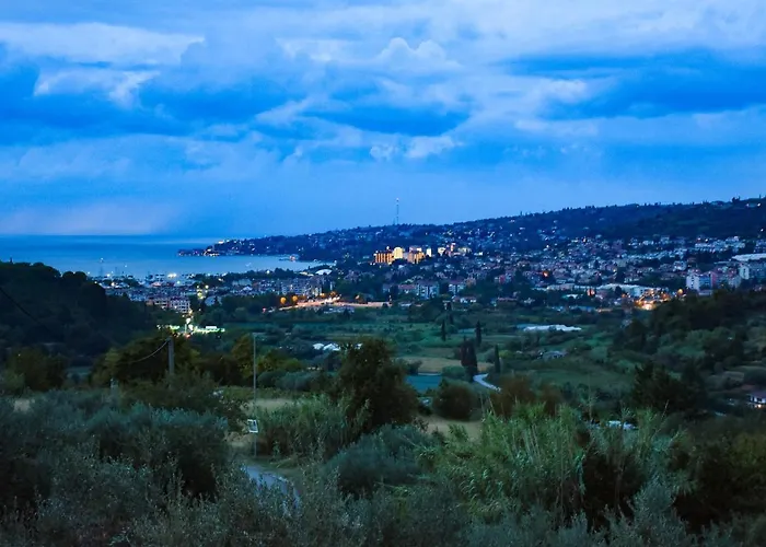 Apartma Med Oljkami - Lejlighed *