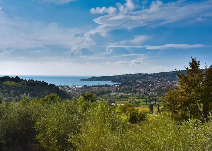 Apartma Med Oljkami - Portorož